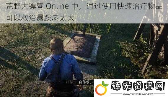 荒野大鏢客 Online 中，通過(guò)使用快速治療物品可以救治暴躁老太太