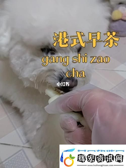 詳盡解析美國人與動物膠配方大全