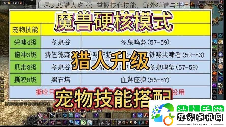 魔獸世界3.35獵人攻略